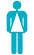 Body Type Triangular
