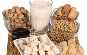 FOODS RICH IN ESTROGEN