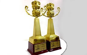 Women's leadership award 12